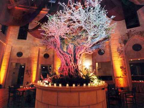 מלון עץ הזית ירושלים
